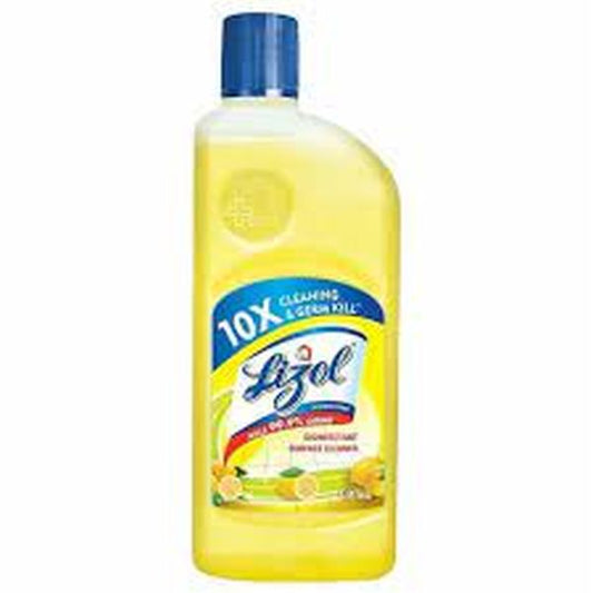 Lizol Citrus Disinfectant Surface Cleaner 500 ml (Pack Of 2)